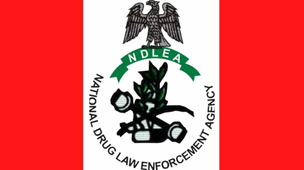 National-Drug-Law-Enforcement-Agency