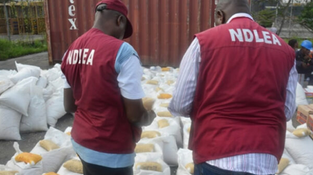 NDLEA-officials-and-the-seized-consignments-696x338-1